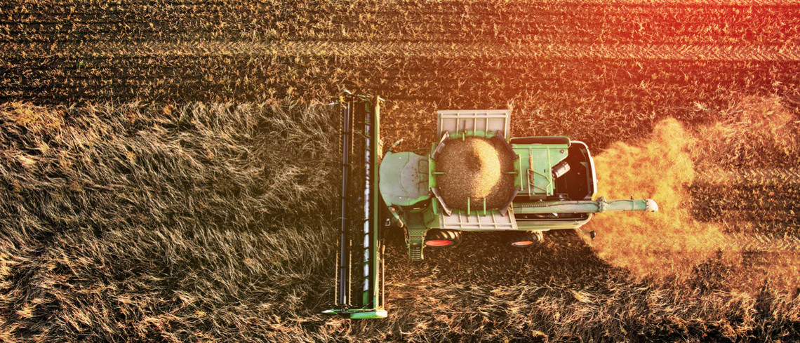 L’agriculture, d’ores et déjà impactée par la guerre en Ukraine