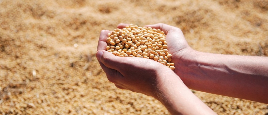 Plan protéines : + 20 millions d’euros 