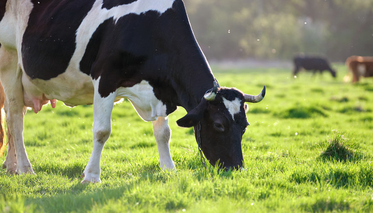 Installation : une nouvelle méthode pour la Région Bretagne
