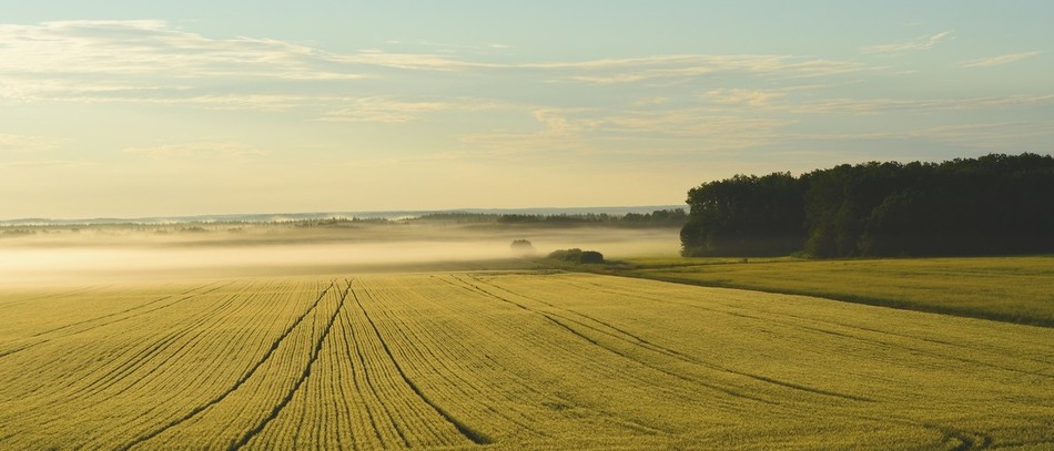 Régulation de l’accès au foncier : les sociétés ne seront plus épargnées 