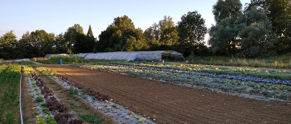 La bio monte au créneau, le gouvernement se défend  