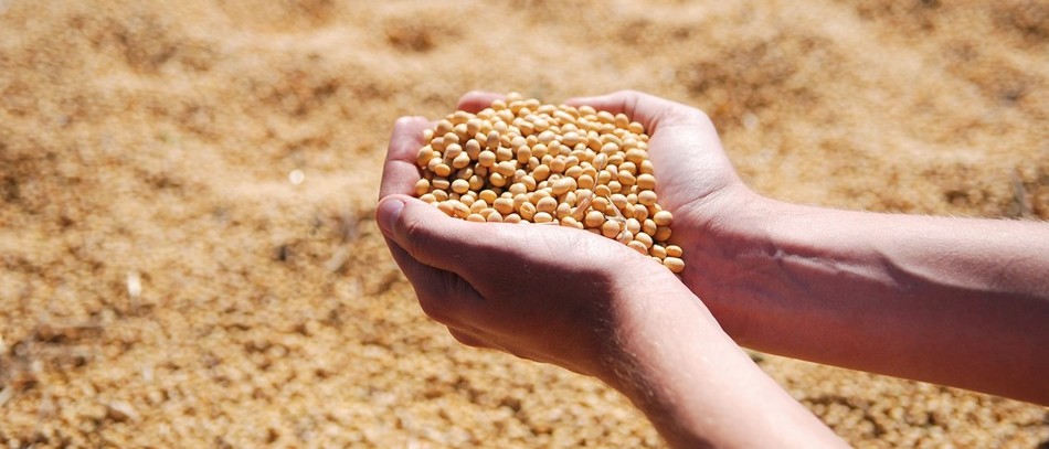 Plan protéines : + 20 millions d’euros 