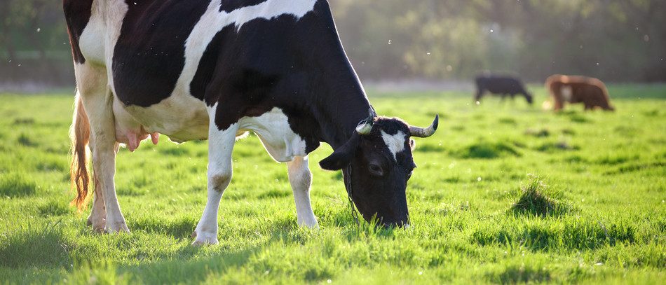 Installation : une nouvelle méthode pour la Région Bretagne