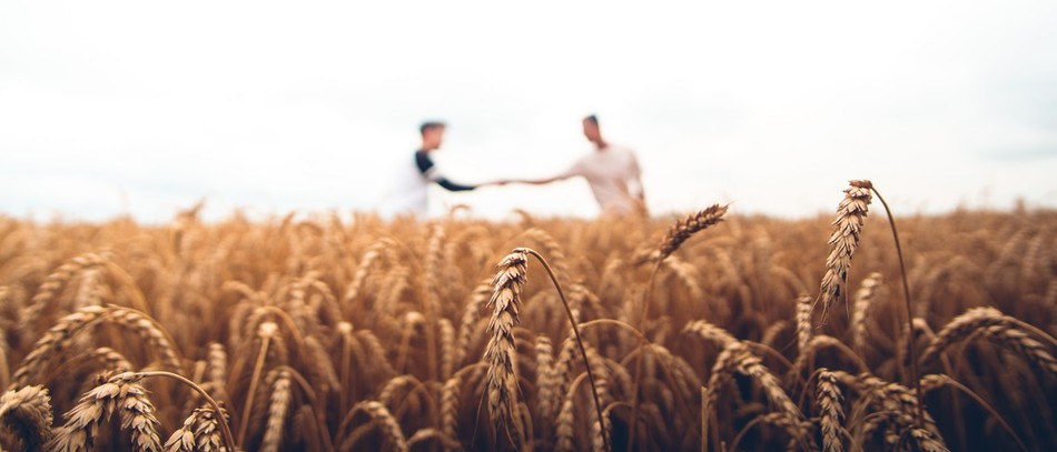 Le gouvernement mise sur l’apprentissage