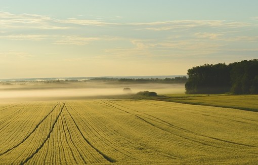 Régulation de l’accès au foncier : les sociétés ne seront plus épargnées 