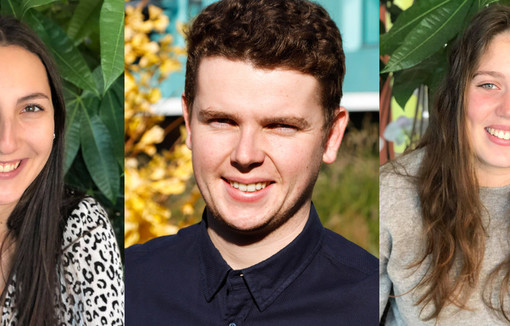 La lutte intelligente face aux prédateurs des cultures