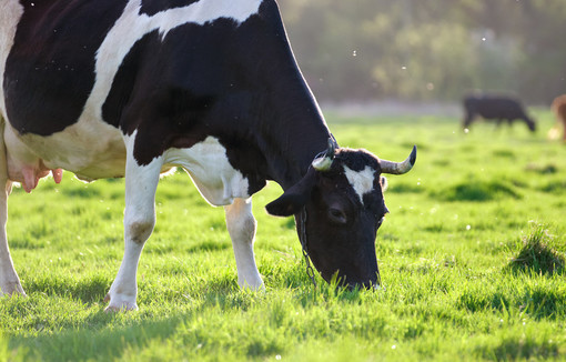 Installation : une nouvelle méthode pour la Région Bretagne